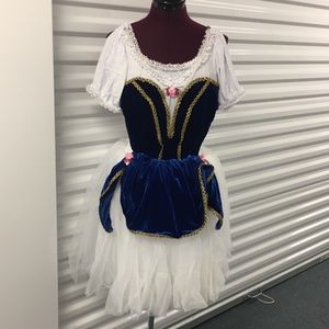 FINA/Ballet Costume